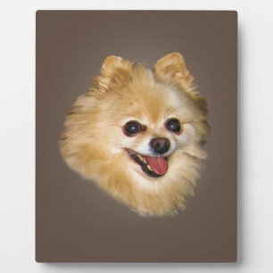 Spitz Dog Plaque Fotoplatte
