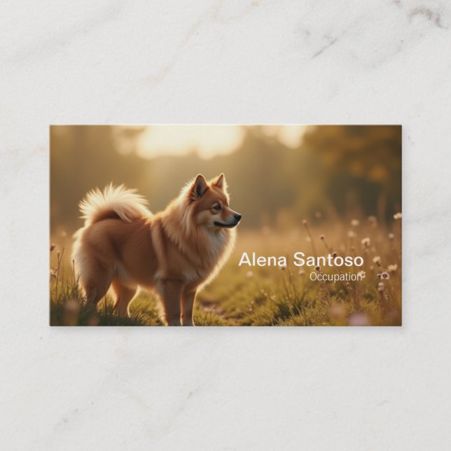Spitz Dog Visitenkarte (Vorderseite)