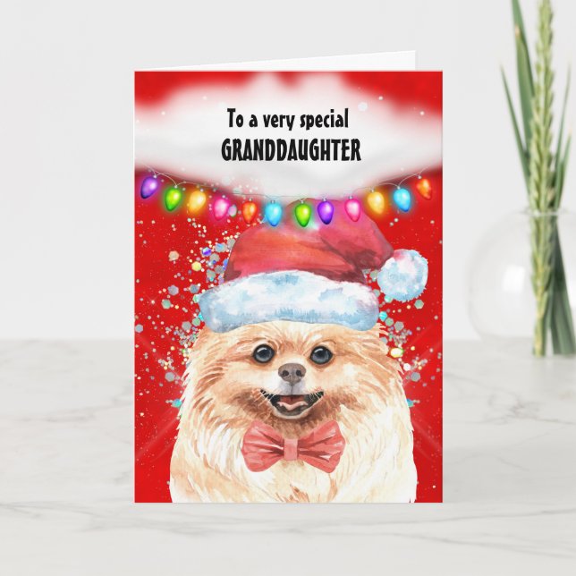 Spitz Enkelin Weihnachten wünscht Weihnachten Karte (Vorderseite)