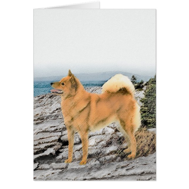 Spitz finlandais à Seashore Peinture - Chien Art (Devant)