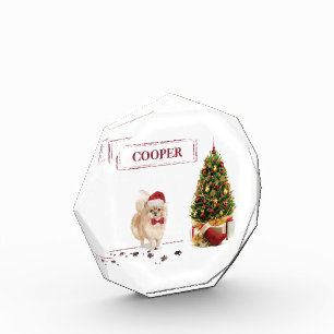 Spitz Funny Christmas Dog mit Baum Fotoblock