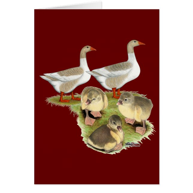 Spitz Gänse (Vorne)