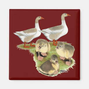 Spitz Gänse Magnet
