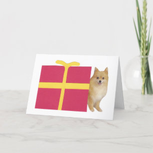 Spitz Geschenkboxen Feiertagskarte