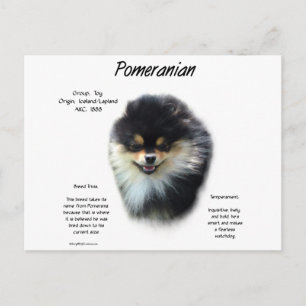 Spitz History Design Postkarte