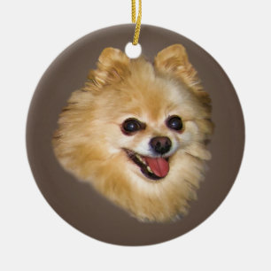 Spitz-Hund auf Brown-Verzierung Keramik Ornament