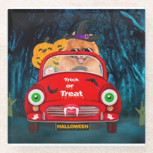 Spitz Hund Autofahren Auto Beängstigend Halloween Glasuntersetzer