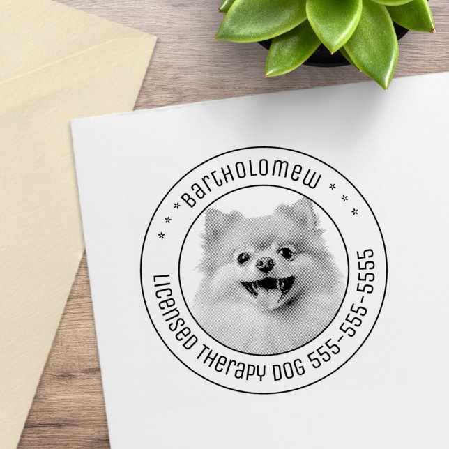 Spitz Hund Haustiere Foto rund Gummistempel (Von Creator hochgeladen)