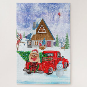Spitz Hund in der Weihnachtslieferung LKW Schnee