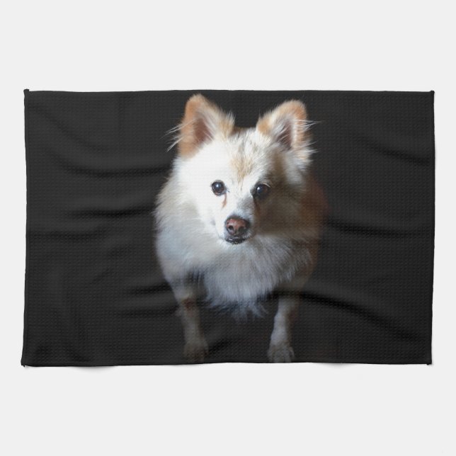 Spitz Hund in Dunkelheit Geschirrtuch (Horizontal)