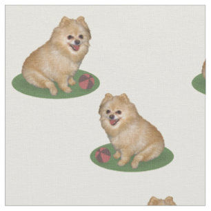 Spitz-Hund mit dem Ball kundengerecht Stoff