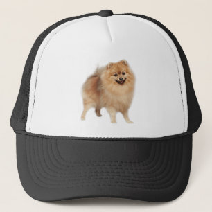 Spitz Hund Tier Spezial Trucker Hut Truckerkappe