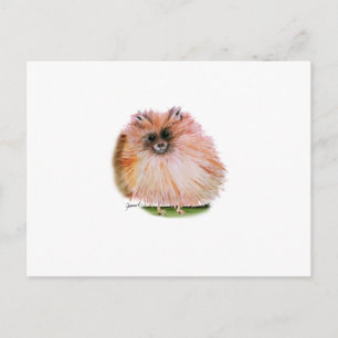 Spitz Hund, tony fernandes Postkarte