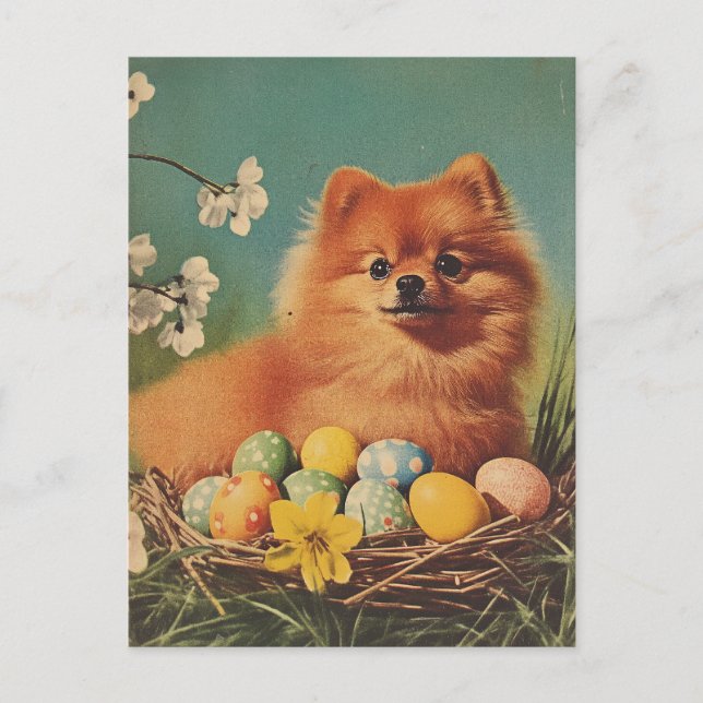 Spitz Hund Vintag Ostern Postkarte (Vorderseite)