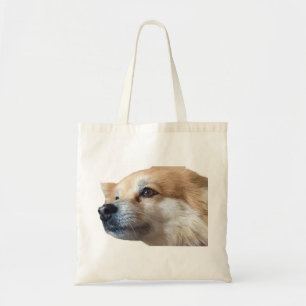 Spitz Hund Welpe Pommy Pommie Pet Tragetasche
