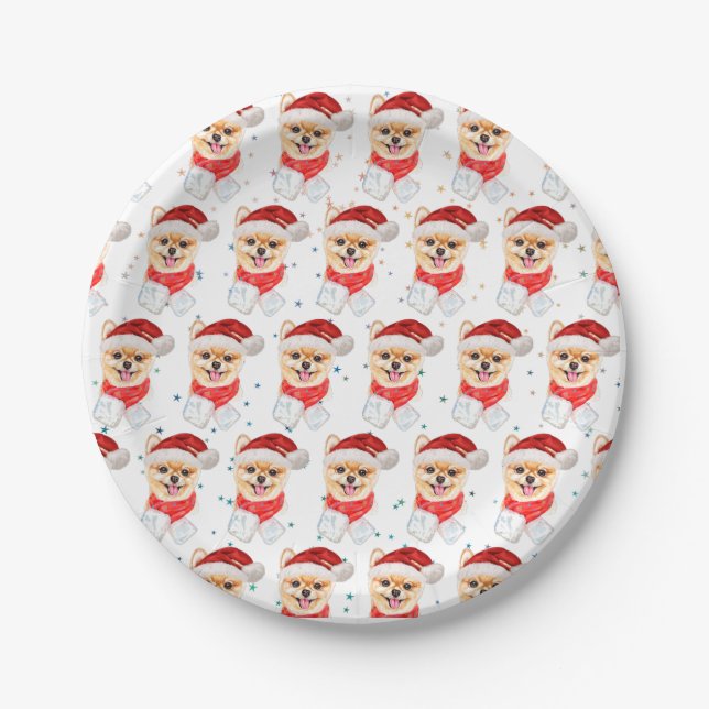 Spitz Hund züchten Weihnachtsstars Pappteller (Vorderseite)