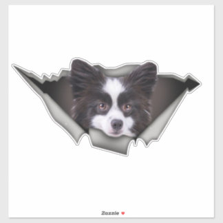 Spitz Hunde Hunde Aufkleber Spitz