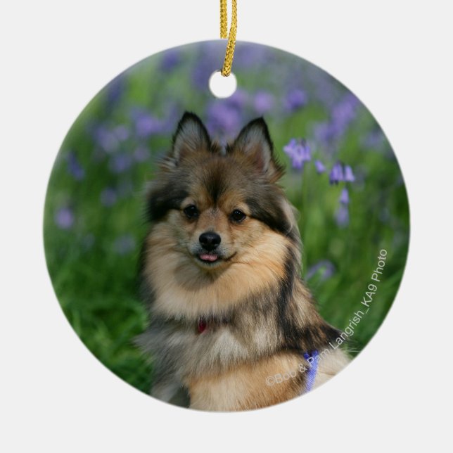 Spitz im Gras Keramik Ornament (Vorne)