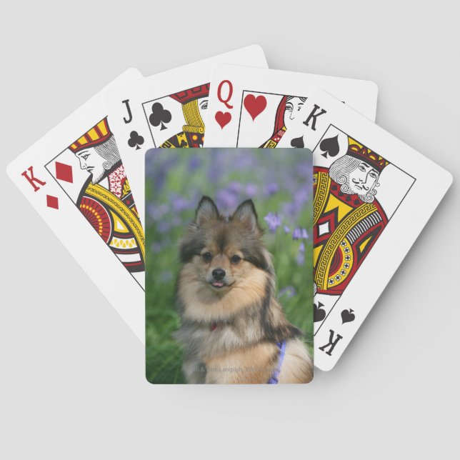Spitz im Gras Spielkarten (Rückseite)