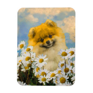 Spitz in der Malerei von Daisis - Originale Hundek Magnet