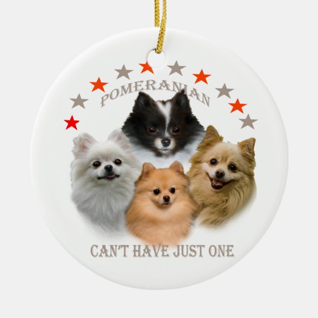 Spitz kann gerade eine Verzierung nicht haben Keramikornament (Vorne)
