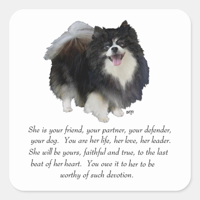 Spitz Keepake Weibchen Quadratischer Aufkleber (Vorderseite)