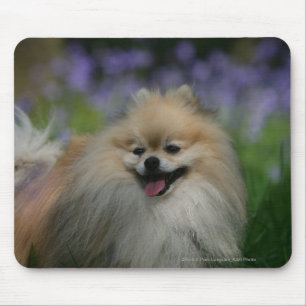 Spitz-Keuchen Mousepad