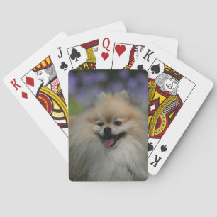 Spitz-Keuchen Spielkarten