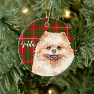 Spitz mit Aquarellfarbe Personalisiert Keramik Ornament