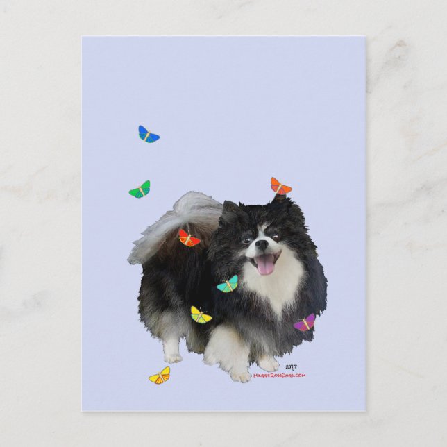 Spitz mit Schmetterlingen Postkarte (Vorderseite)