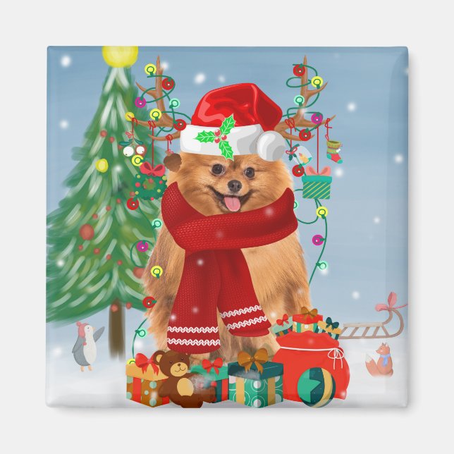 Spitz mit Weihnachtsgeschenke Magnet (Vorne)