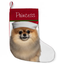 Spitz mit Weihnachtsmannmütze Kleiner Strumpf
