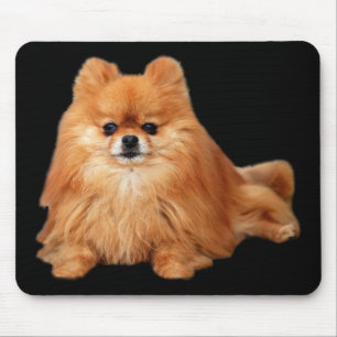 Spitz Mousepad