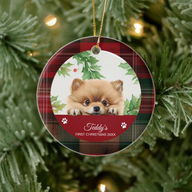 Spitz Personalisiert Erster Weihnachten Keramik Ornament (Baum)