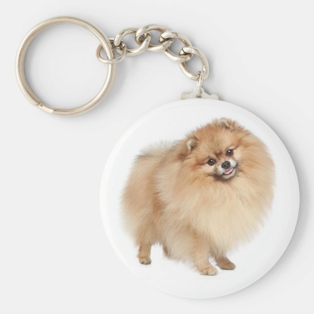 Spitz Pom Pom Puppy Dog Schlüsselanhänger (Vorne)