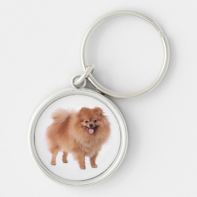 Spitz Pom Pom Welpe Hund Schlüsselanhänger (Vorne)