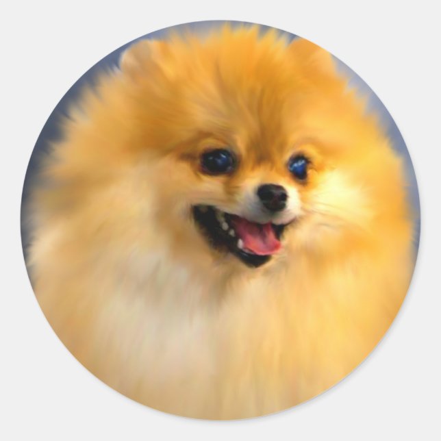 Spitz-Portrait-Aufkleber Runder Aufkleber (Vorderseite)