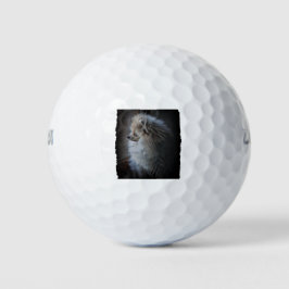 Spitz Puppy Golfball