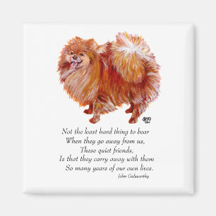 Spitz Rainbow Bridge Magnet