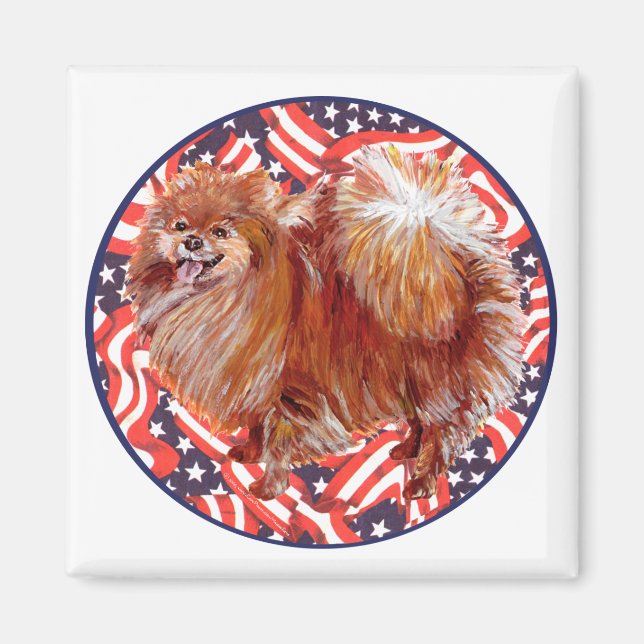 Spitz Red White & Blue Magnet (Vorne)