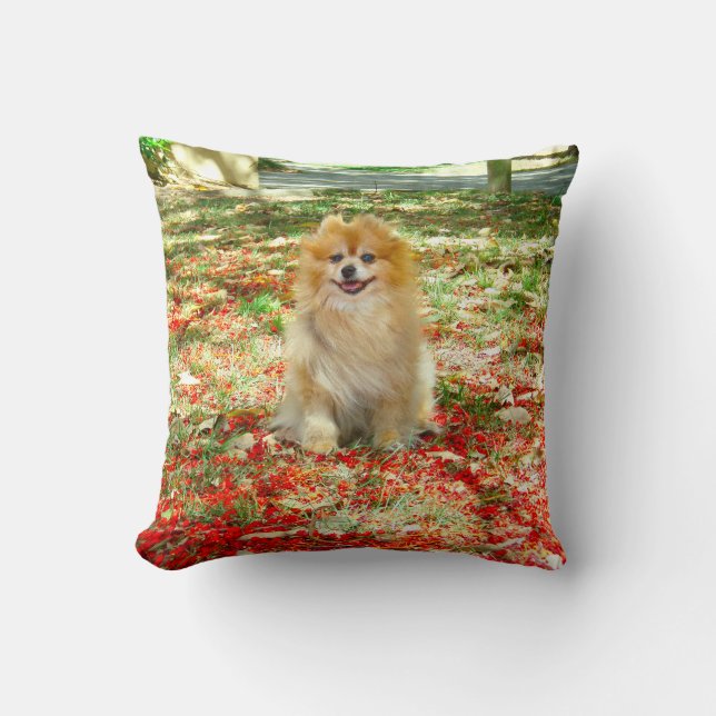Spitz-Rot-Blumen des Kissen-| lächelnde Kissen (Vorderseite)