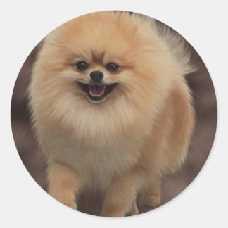 Spitz Runder Aufkleber