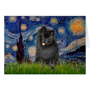 Spitz (schwarz) - Starry Night