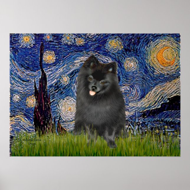 Spitz (schwarz) - Starry Night Poster (Vorne)
