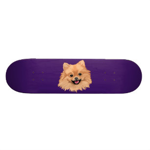 Spitz Skateboard