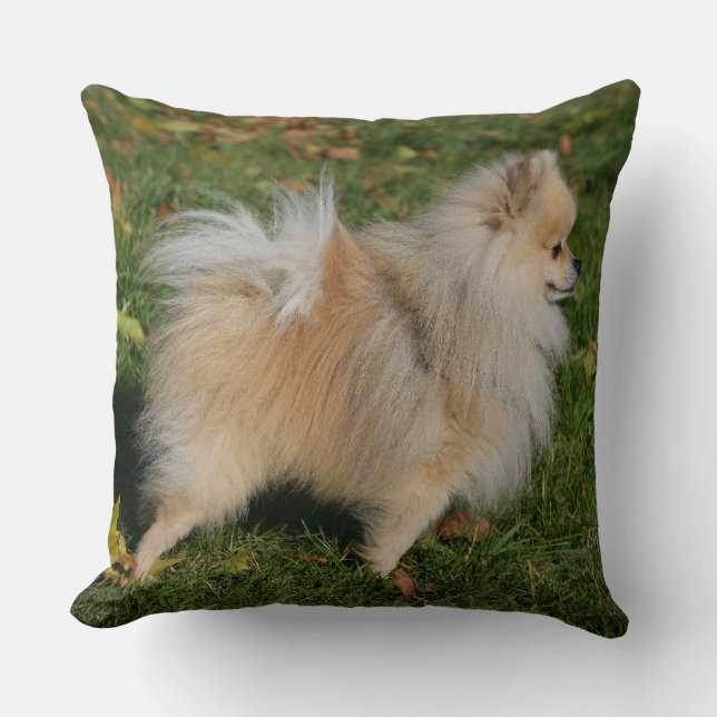 Spitz stehend kissen (Vorderseite)