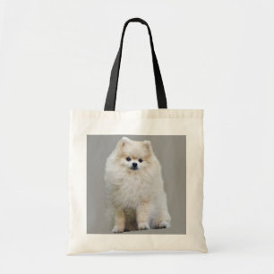 Spitz-Taschen-Tasche Tragetasche