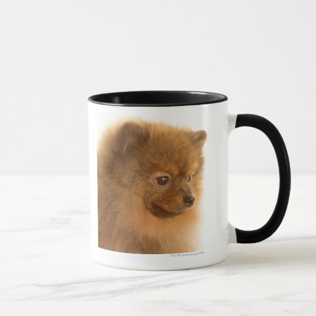 Spitz Tasse (Rechts)
