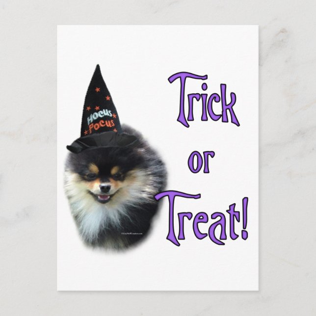 Spitz Trick Postkarte (Vorderseite)