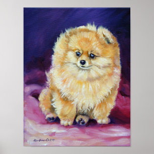 Spitz Wall Print Poster
